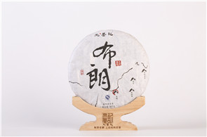 2016年布朗古树