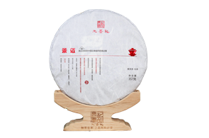 2019年景迈古树
