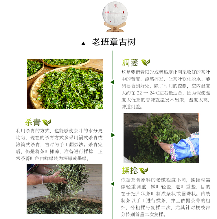 8acffce67faf09944c491156c1768b51老班章详情页_14.jpg