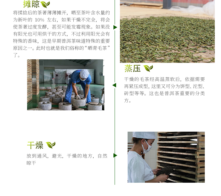 8acffce67faf09944c491156c1768b51老班章详情页_15.jpg