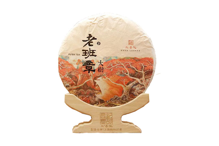 2019年老班章大树